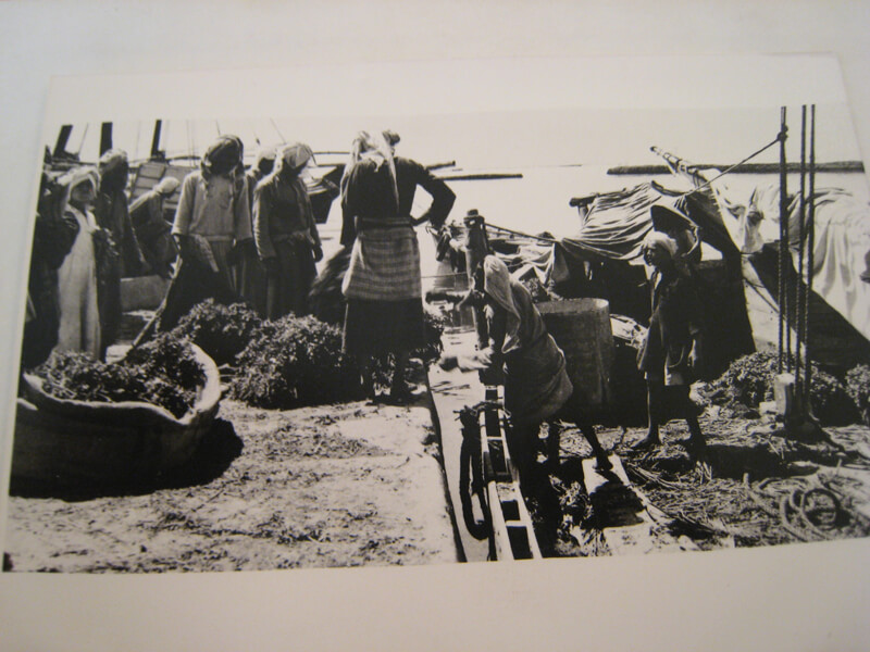 صورة عبدالرضا طاهر عنزان الوزان في الفرضة 1949