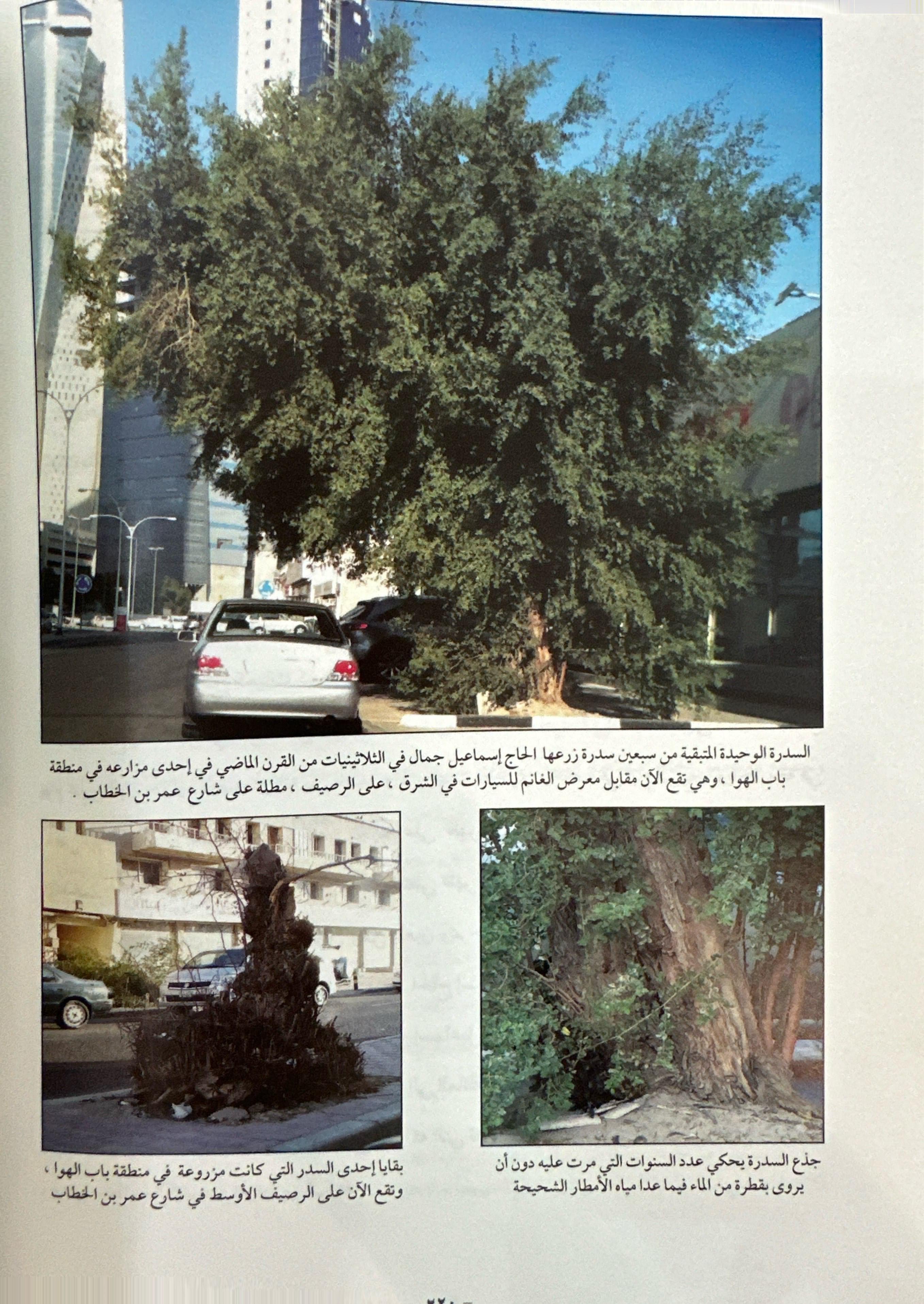 لقاء مع التاريخ